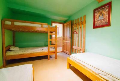 Casă cu 12 camere cu Teren 19841 Mp în Vale - 15