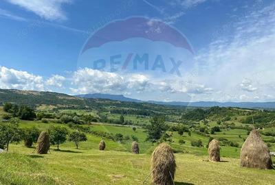 Vanzare ansamblu de 5 casu?e tradi?ionale Maramure?/ Botiza - 2