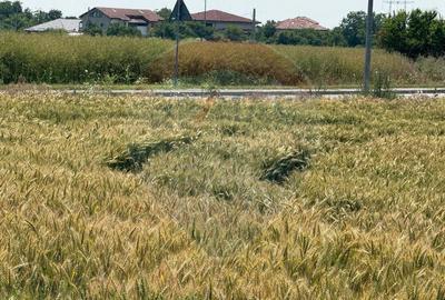 Teren ideal pentru dezvoltare mixta acces A0, Vadul Anei/... - 3