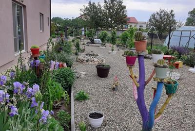 VILA UNICAT ULTRALUX P+1 +CASA CU TEREN 1412MP ZONA PALAZU MARE - 10