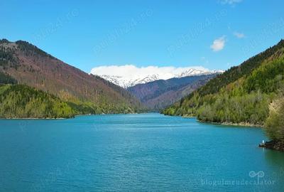 Casă cu 4 camere cu Teren 2500 Mp în Central - 1