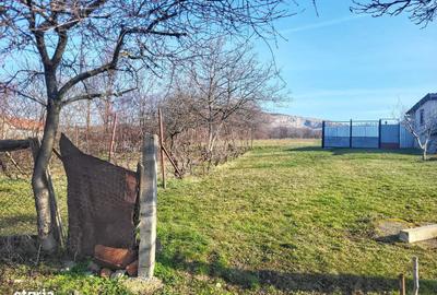 Casă cu 3 camere în Betfia - 6