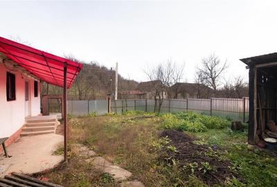 RECO Casa de vacanta la Holod- langa padure- teren 2190mp - 18