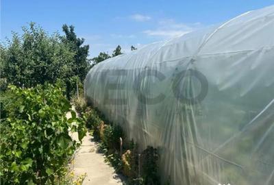 Casă cu 3 camere cu Teren 3300 Mp în Felcheriu - 1