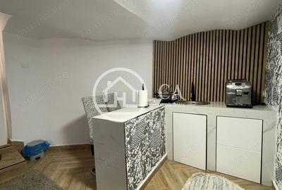 Apartamente la curte comuna de vanzare in zona Dragos Voda, Oradea - 20