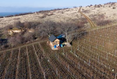 Vita-de-vie Premium  teren de 6800 mp în Covăsinț - 7