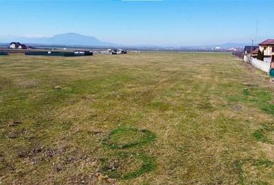 Teren intravilan 18.200mp, cu PUZ si PUD, ideal constructi case, Bod, Brasov. - 20