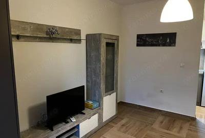 Apartament de inchiriat cu o camera in zona Steaua - 4