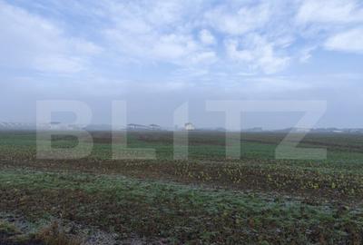 Teren de 15000 mp, în Miroslava