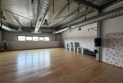 Spațiu comercial, de 250 mp, în Dumbrăvița - 5