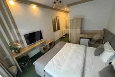 Spațiu comercial, de 290 mp, în Șugag - 13