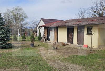 Casa deosebita, 128 mp, 569 mp teren, in Santionlunca - 18