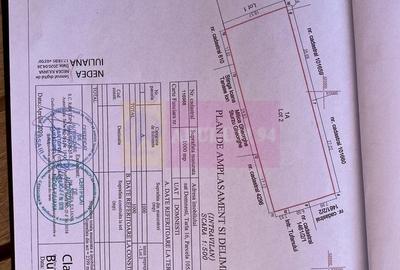 Teren 1000 mp Domnesti - 3