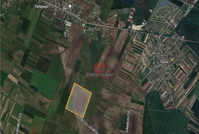 Teren de 235000 mp, în Tărtășești - 1