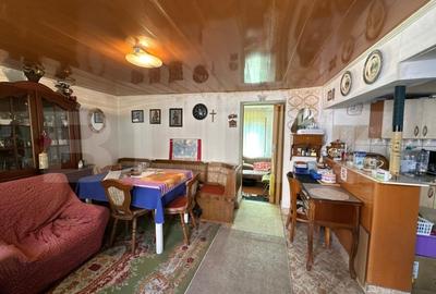 Casa saseasca de vanzare, curte, gradina, teren 3000 mp - Jimbor, jud Brasov - 10