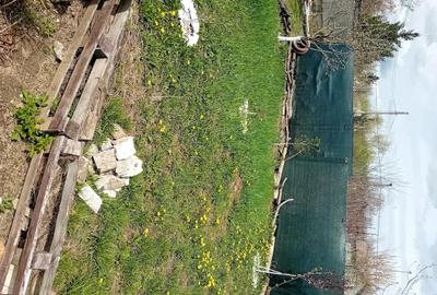 Casă cu 5 camere cu Teren 800 Mp în Central - 6