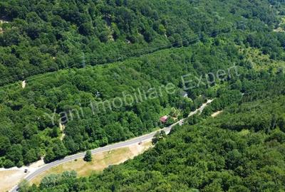 Teren de vanzare pe Transfagara?an. - 4