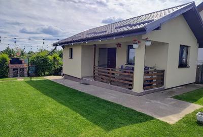 Casa de vacanta Dealul-Viei - 1
