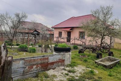 Casă cu 3 camere în Butoiești - 9