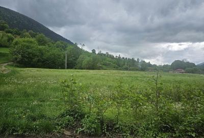 Spațiu comercial, în Rodna - 1