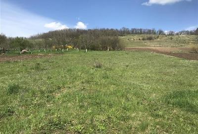 Teren intravilan, PUZ, gaz, apa, Remetea- Tg. Mures - 7