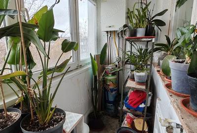 Apartament 2 camere Negru Voda-Spitalul Militar, confort 1, etajul 3, centrala termica - 3