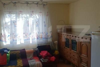 Casă cu 3 camere cu Teren 9600 Mp în Sânmihaiu de Câmpie - 5