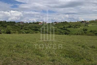 De vanzare, teren 11.500 mp – Dealul Dăii,  Vedere panoramică spre munți și lac - 3