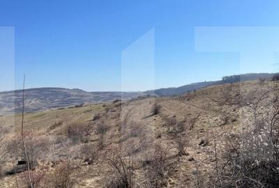 Spațiu comercial, în Borhanci