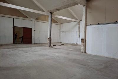 Spatiu depozitare/mica productie 185 mp - 6