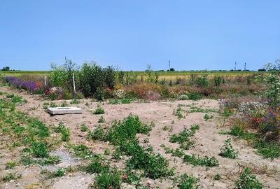 Intravilan 420m2 - 2