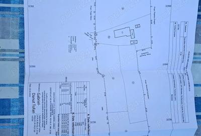 Casă cu 3 camere în Băneasa - 5