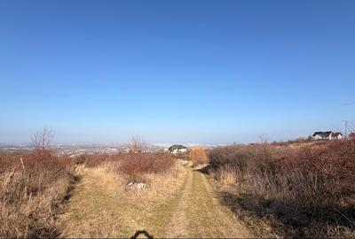 Teren agricol extravilan de 2000 mp, în Bucium - 2