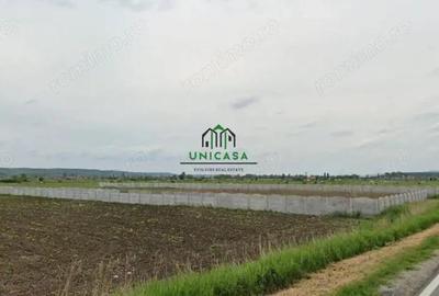 Teren de 2500 mp, în Mihăești