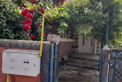 Casă cu 3 camere în Vidrasău - 3