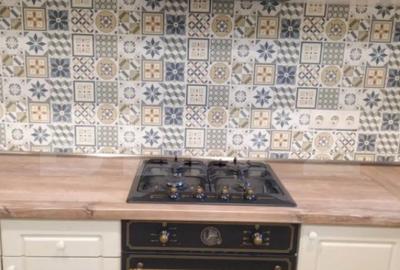 Casă cu 3 camere cu Teren 824 Mp în Elisabetin - 13