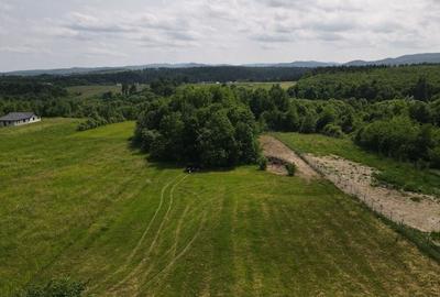 Spațiu comercial, în Horodnic - 7
