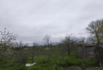 Se vinde casa batraneasca+ teren 2200 mp in Sat Izvoru, Arges - 7