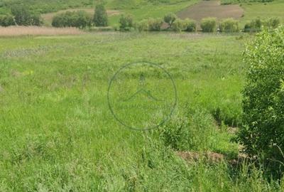 Teren de 4056 mp, în Sânmihaiu de Câmpie - 3