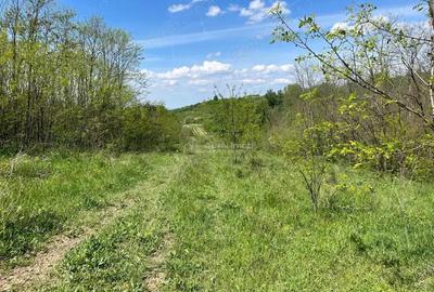 Lugoj Teren 5.300 Mp., Dealul Viilor, Priveliste Impresionanta - 10