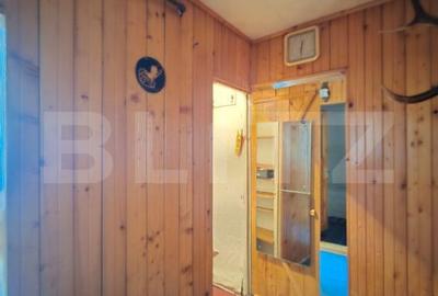 Apartament cu 2 camere decomandat în Viișoara - 3