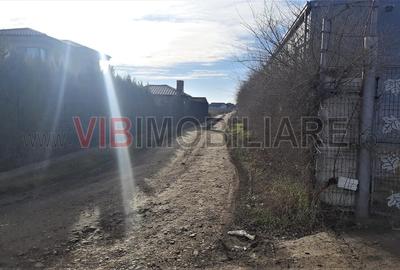 Otopeni - Strada Alexandru Ioan Cuza - 2