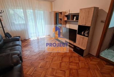 Apartament cu 3 camere decomandat, mobilat în Banat - 1