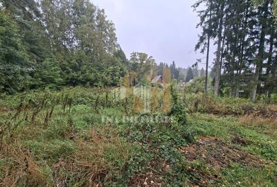 Teren intravilan cartier Noua Brasov - 3