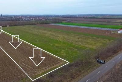 Teren în Medieșu Aurit - 5