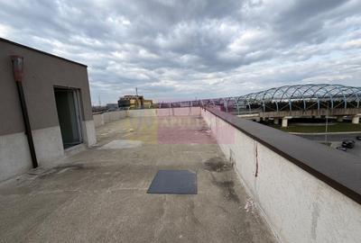 Proprietate specială, de 800 mp, în Theodor Pallady - 5
