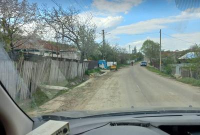 Casă cu 3 camere în Rusca - 6