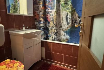 Apartament cu 3 camere decomandat în Olteniței - 4