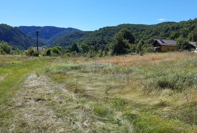 Mraconia,Clisura Dunarii proprietate deosebita, unica in zona de investitie! - 6