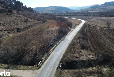 Teren de 2000 mp, în Moșna - 31